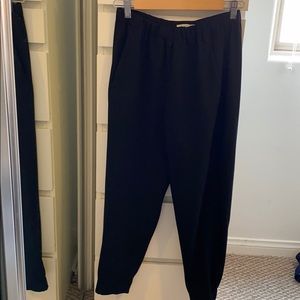 Aritzia Babaton pants
